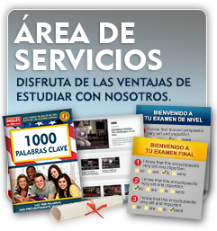 &Aacute;rea de Servicios